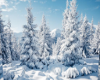 Winters Day Background