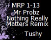 MrProbzNothingMattersRmx