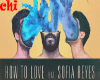 CASH CASH - HOW TO LOVE