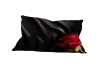 cuddle pillow black rose