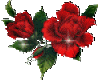 Red Sparkling Rose