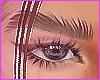 ♡ Eyebrows Brown