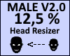 Head Scaler 12,5% V2.0