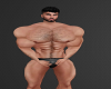 Muscaler Body