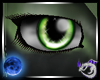 FP Kiwi Eyes