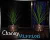 [CV] City Plants