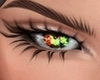 Multi Sherbert Eyes M/F
