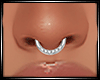 LS~Septum v5