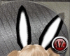 [AZ] Animated Bunny Ears