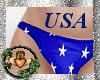 ~QI~ USA Panties V1