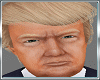 Donald Trump Skin