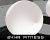 24 HR Fitness Yoga Ball