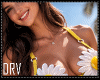 VEVET SUMMER SET