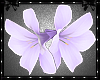 Tantalise Flower Purple