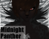 MidnightPanther-M NckFur
