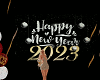 (R)HNY23 table w poses