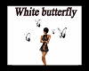 white butterfly