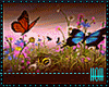 Ambient Butterflies Fly