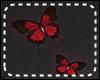 *Y* ButterFlys