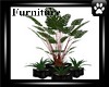 *SA* Black potted plants