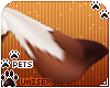 [Pets] Ginga | tail v2