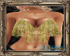 PHV Gold Lace Top