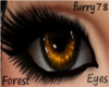 -:-78-:-Forest Eyes