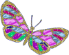 sticker butterfly