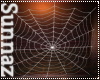 (S1) Animated Spider Web