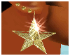 [m58]Star Earrings