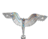 Â๖ຟ💋ChromeAngel