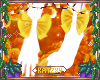 ꨄSparta Bows 4 V2ꨄ