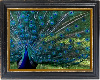 peacock - indian blue te