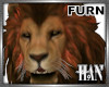 [H]Lion 🦁 Furn