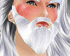 Full Santa beard white