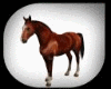 Animated Bay Horse NP