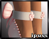 !iP Bunny Hunny