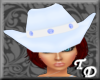 *T Cowgirl Hat Lt Blue