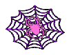 Spider in web pink