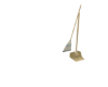 Out Side Ani Broom