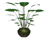 Potted  Plant 2