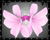 Tantalise Flower Pink