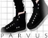 par - CV all black -