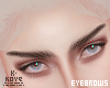 !< Exc. Brows Toddy!