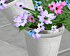 Spring Flower Pots