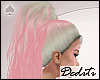 D` Josie Sugar