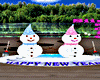 DRV Snowman&SnowGirl