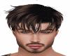 Realistic Head