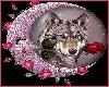 Wolf with Pink Roses