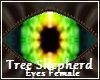 Tree Shepherd Eyes F